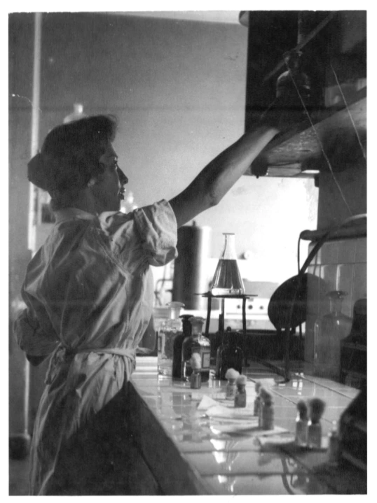 más de 40 años generando confianza LQCE